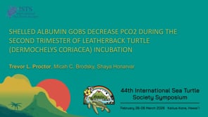 SHELLED ALBUMIN GOBS DECREASE PCO2 DURING THE SECOND TRIMESTER OF LEATHERBACK TURTLE (DERMOCHELYS CORIACEA) INCUBATION
