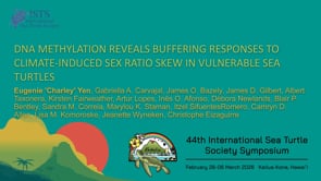 DNA METHYLATION REVEALS BUFFERING RESPONSES TO CLIMATE-INDUCED SEX RATIO SKEW IN VULNERABLE SEA TURTLES
