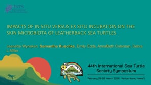 IMPACTS OF IN SITU VERSUS EX SITU INCUBATION ON THE SKIN MICROBIOTA OF LEATHERBACK SEA TURTLES