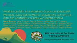 PROMISE OR PERIL IN A WARMING OCEAN? AN EMERGENT PATHWAY LEADS NORTH PACIFIC LOGGERHEAD SEA TURTLES INTO THE NORTHERN CALIFORNIA CURRENT SYSTEM