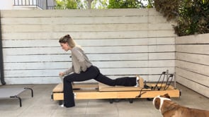 30 minute full body beginners
