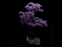 Astro West Large Amethyst Tree AWAMETR478 Video