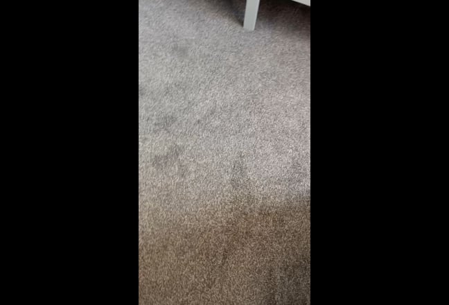 Newly Renovated Single room Main Photo