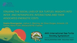 STALKING THE SOCIAL LIVES OF SEA TURTLES: INSIGHTS INTO INTER- AND INTRASPECIFIC INTERACTIONS AND THEIR ASSOCIATED ENERGETIC COSTS
