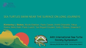 SEA TURTLES SWIM NEAR THE SURFACE ON LONG JOURNEYS