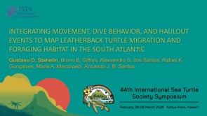 INTEGRATING MOVEMENT, DIVE BEHAVIOR, AND HAULOUT EVENTS TO MAP LEATHERBACK TURTLE MIGRATION AND FORAGING HABITAT IN THE SOUTH ATLANTIC