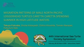 MIGRATION PATTERNS OF MALE NORTH PACIFIC LOGGERHEAD TURTLES CARETTA CARETTA SPENDING SUMMER IN HIGH-LATITUDE WATERS