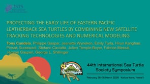 PROTECTING THE EARLY LIFE OF EASTERN PACIFIC LEATHERBACK SEA TURTLES BY COMBINING NEW SATELLITE TRACKING TECHNOLOGIES AND NUMERICAL MODELING