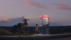 Telstra / Christmas