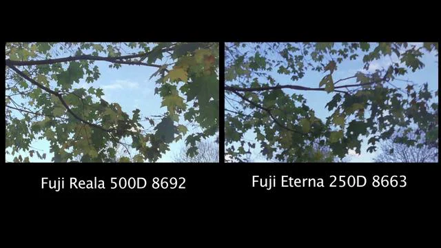 Fuji Eterna 250D - Film Stocks & Processing 