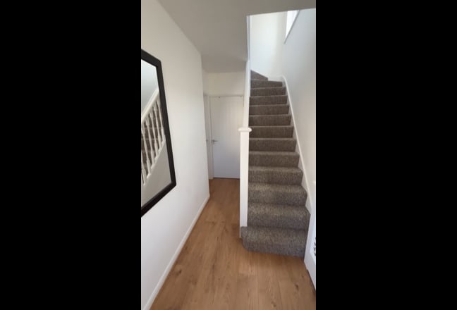 Video 1: 
