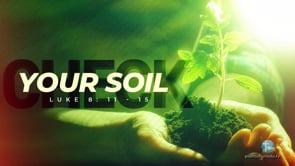 Check Your Soil