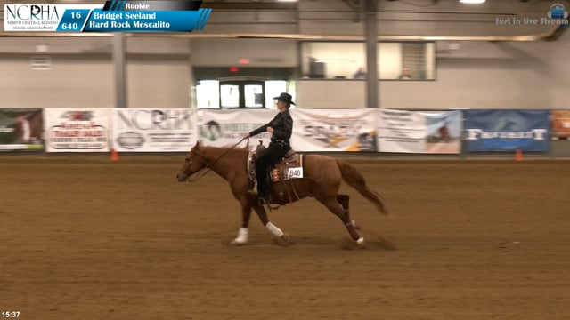 #640 Bridget Seeland (2)