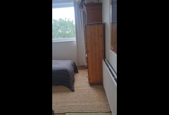 Double rooms for peaceful women who like dogs  Main Photo
