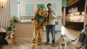 Meta City Dogs