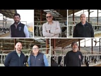 Os asistentes comparten a súa visión sobre os temas abordados na xornada de Lely sobre granxas XL