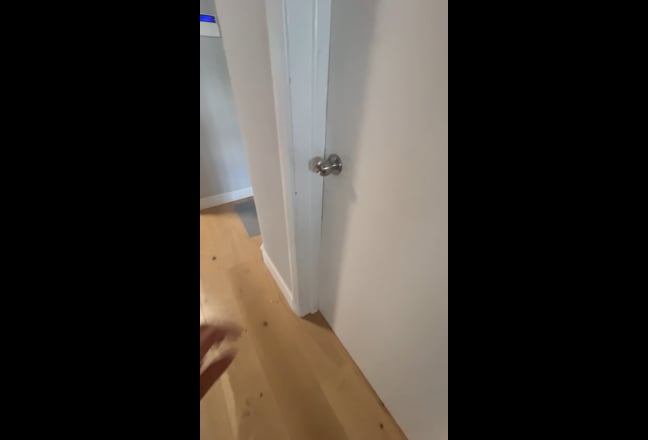 Double Room - Female Lodger Pref Main Photo