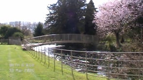 Related Embedded Video Item Thumbnail