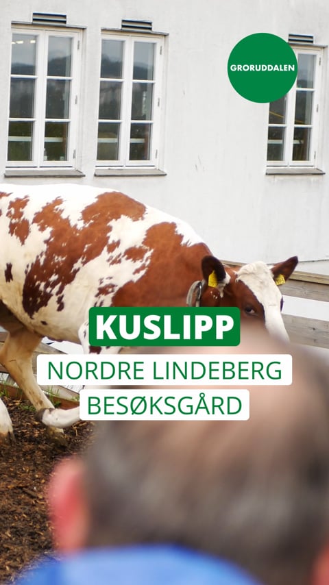 Kuslipp på Nordre Lindeberg gård