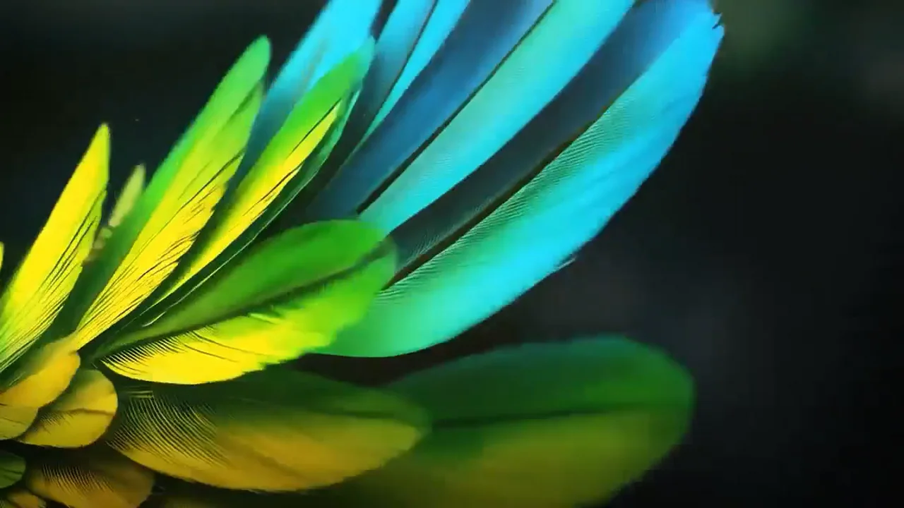 Samsung TV Plus Rebrand