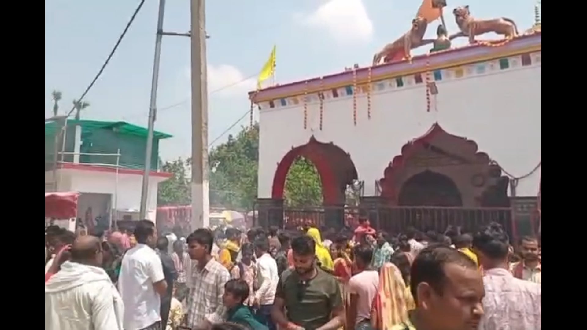 पूर्व बिहार के प्रसिद्ध शक्तिपीठ में उमड़ी लाखों आस्थाएं, कतारबद्ध होकर चढ़ाई बली