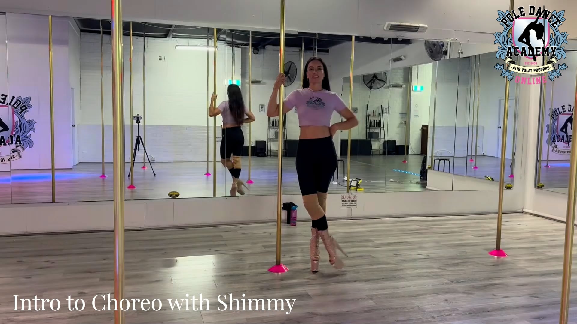 11.5.26 Intro to Choreo with Shimmy