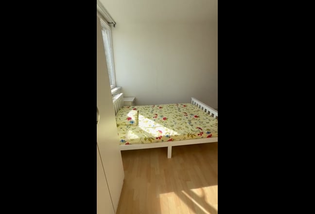 🏠 Poplar Rooms Available Now & June 🌟 Main Photo