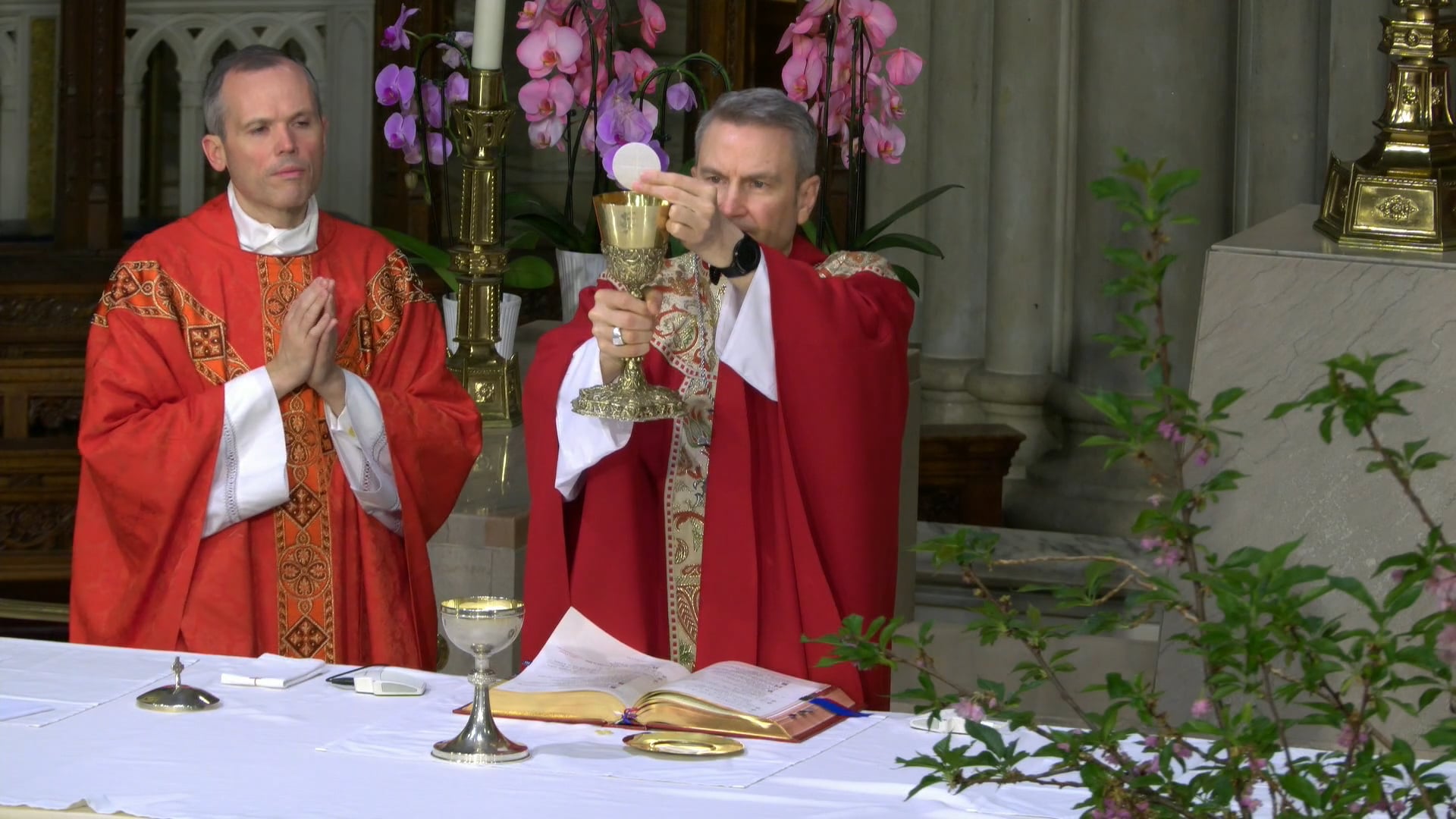 Mass from St. Patrick's Cathedral - May 12, 2026