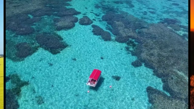 Travel Oz S08E05 Japan