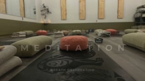 Related Embedded Video Item Thumbnail
