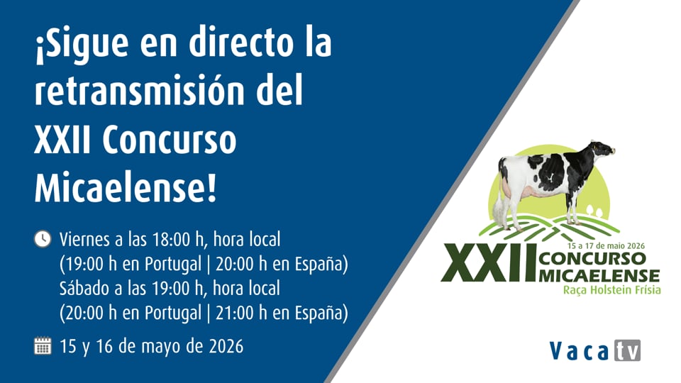 EN DIRECTO | Concurso de Primavera de Azores 2026