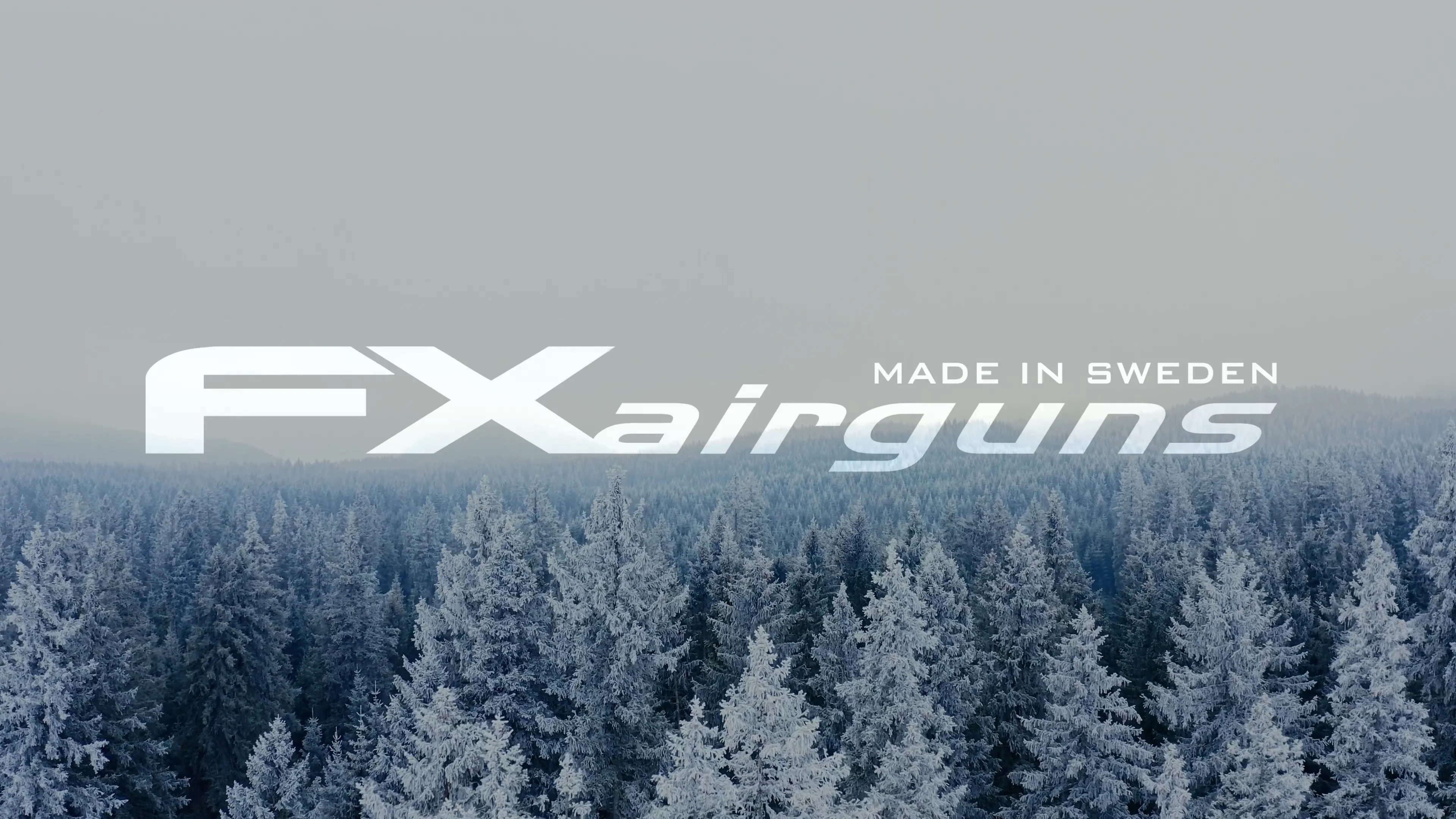 es de La Tour  -光と闇の世界- FX Airguns | High-Performance Precision Rifles