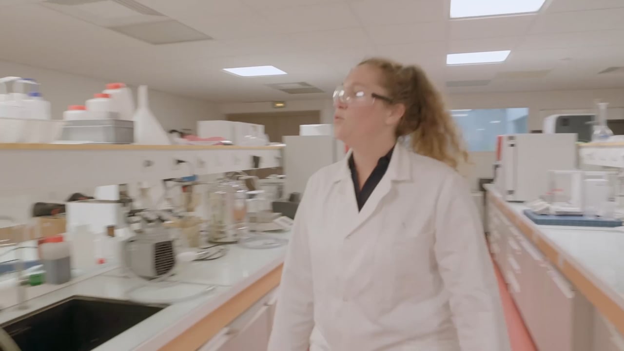 Capsule collaborateur : extrait de réalisation