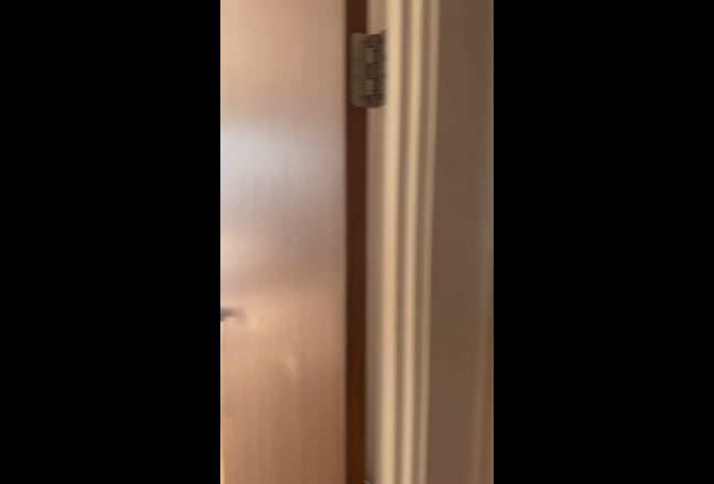    female flat only. Short or long term.  Main Photo