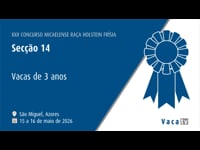 Vacas de 3 anos