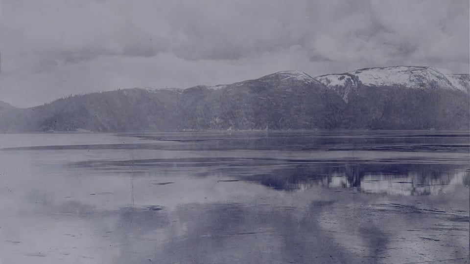 The Flower and The Flood