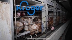 Kroger broke its promise and left millions of animals in cages