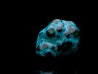 Astro West - Malachite Chrysocolla from the DRC AWMAL485 Video