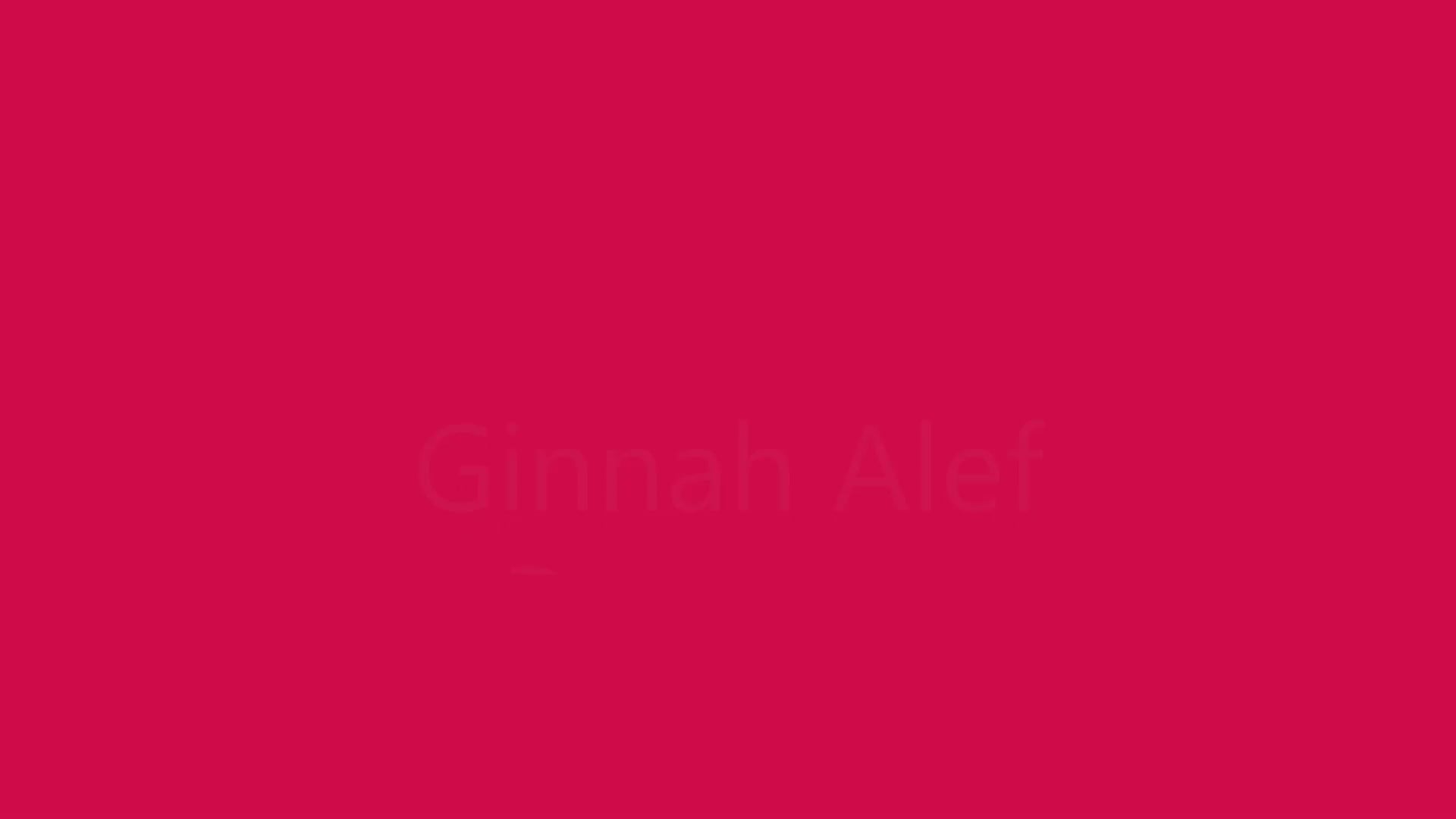 The Pink Elephant