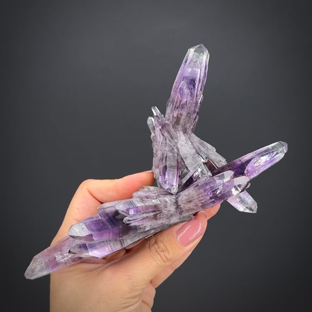 アメジスト Quartz var. Amethyst (Romero Trophy winner) - LIEB26-22