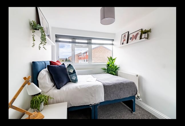 Beautiful Double Room Main Photo