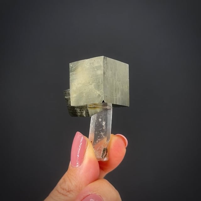 Pyrite on Quartz - LIEB26-12 - Spruce Ridge - USA Mineral Specimen