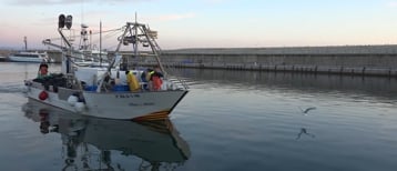 El Port de l'Escala lidera les captures de peix blau a Catalunya