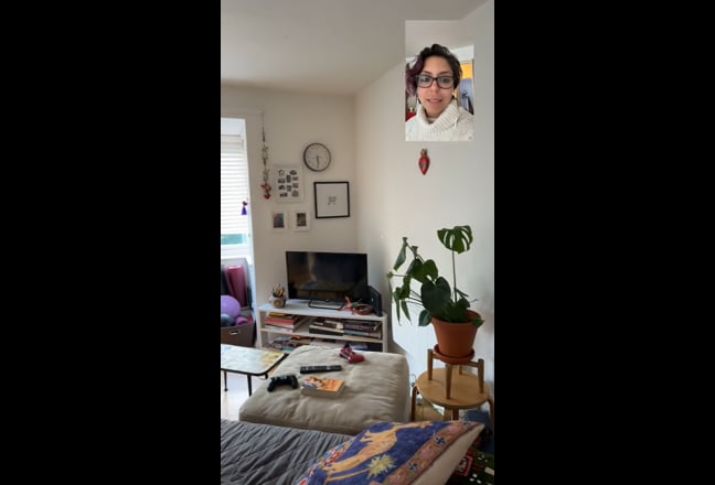 Video 1: Kitty for scale