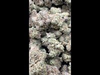 Brainwreck