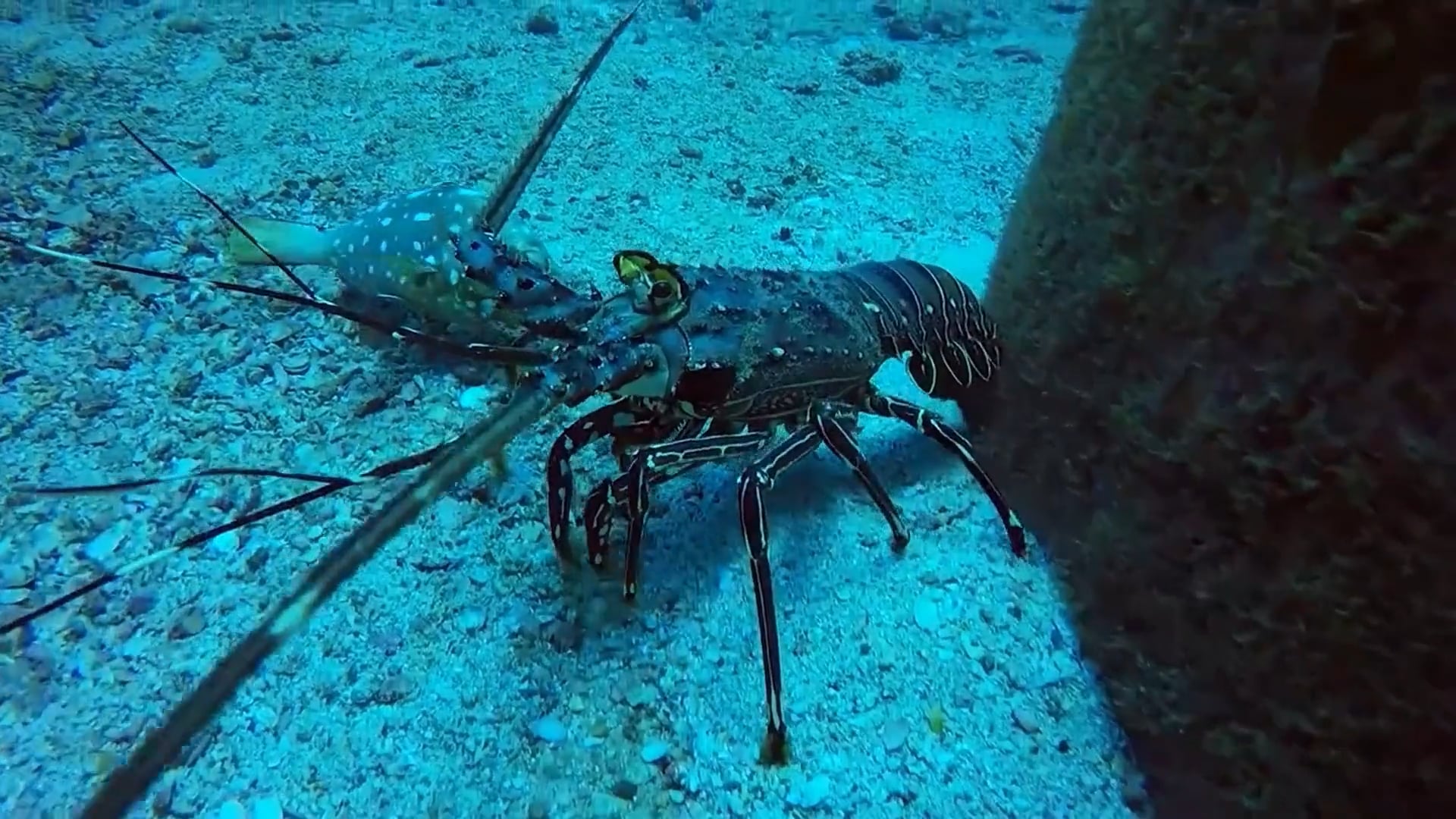 Escape to Costa Rica - Called by the Ocean