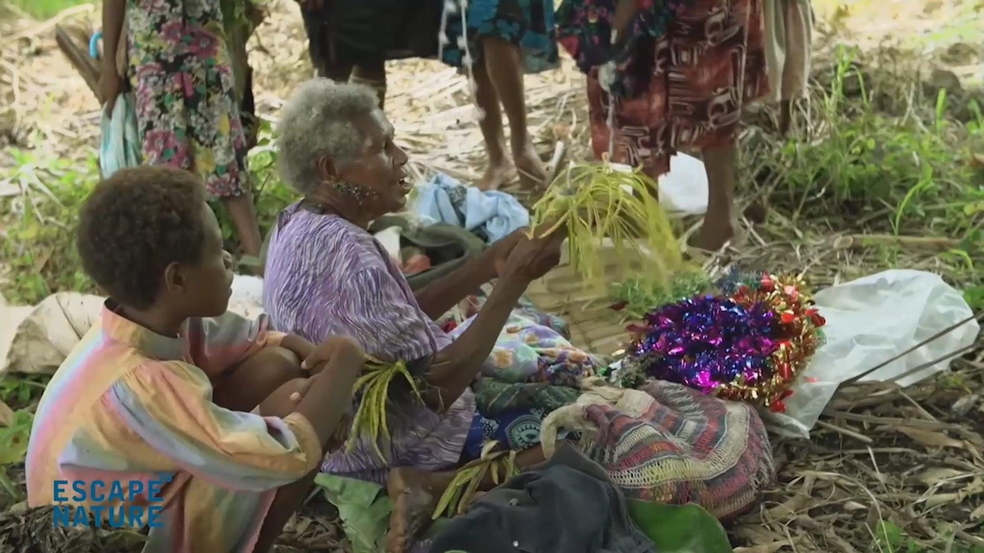 Escape to Papua New Guinea - One of the World’s Most Remote and Culturally Rich Destinations