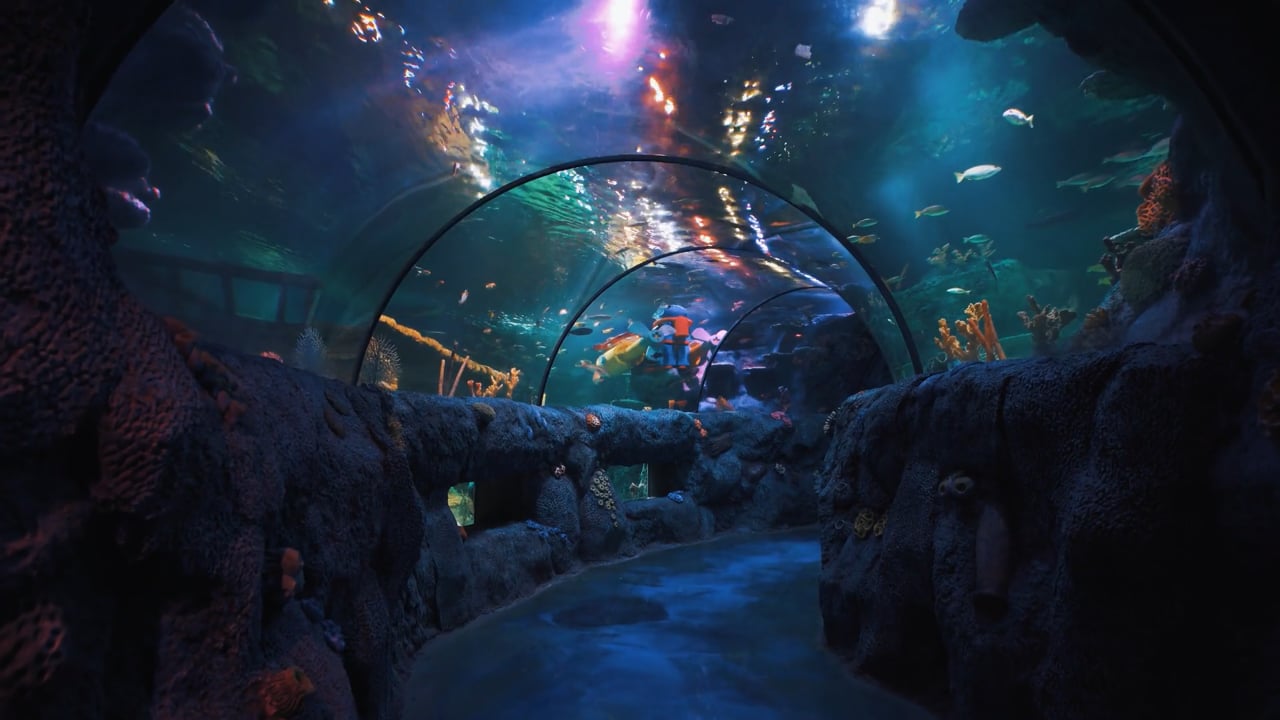Sea Life and Legoland