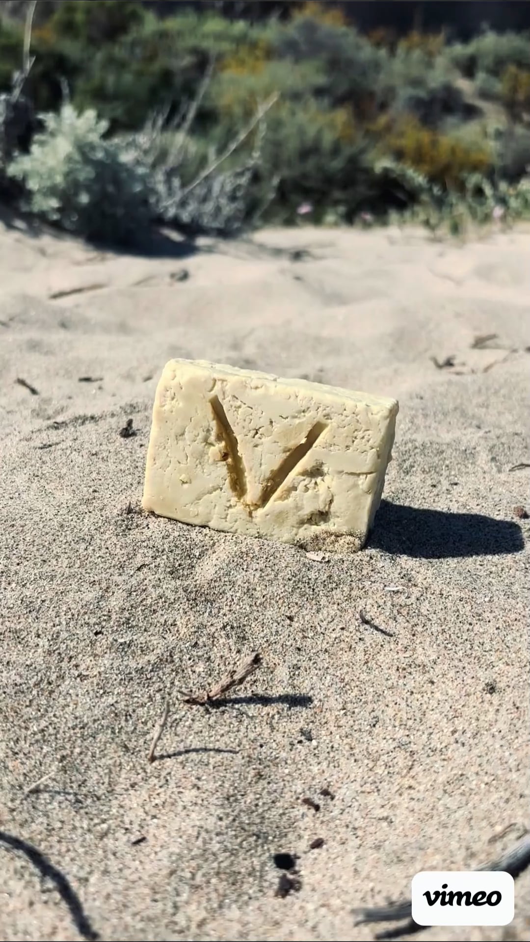 https://i.vimeocdn.com/video/2157727280-270bd359173c8791e298c09c5cc3753e7d2c87a97c41bd21045bf2005bd9442e-d
