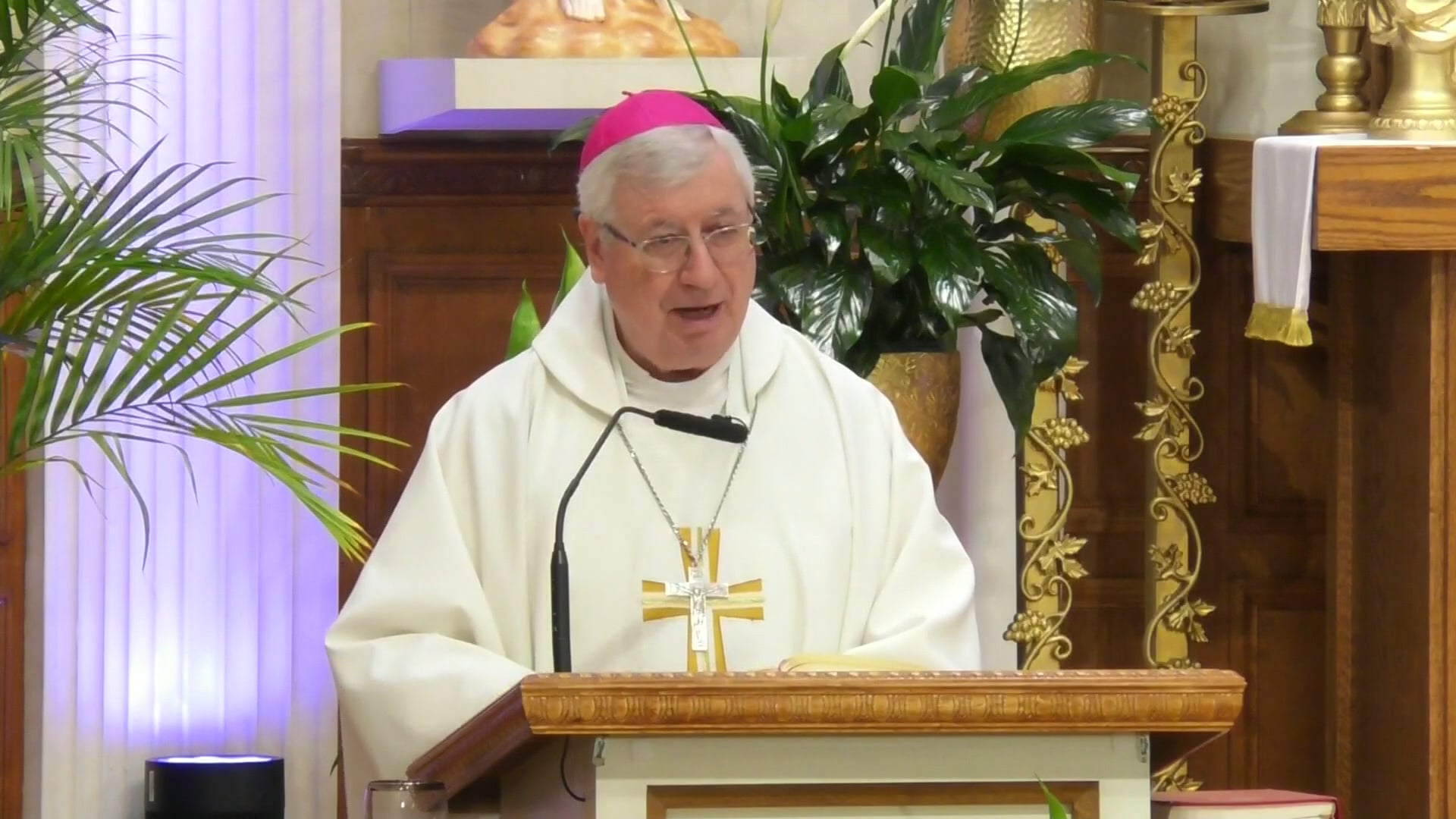 Misa de Nuestra Senora de Loretto - 15 de Mayo de 2026